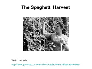 The Spaghetti Harvest Watch the video: http:// www.youtube.com/watch?v =27ugSKW4-QQ&feature=related 
