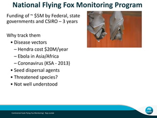 Towards Continental-scale Tracking of Flying Foxes Slide 6