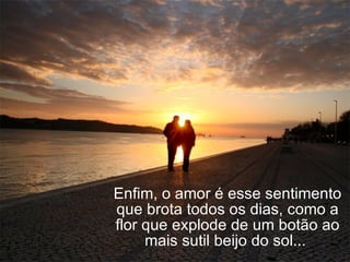 Enfim, o amor é esse sentimento que brota todos os dias, como a flor que explode de um botão ao mais sutil beijo do sol...  