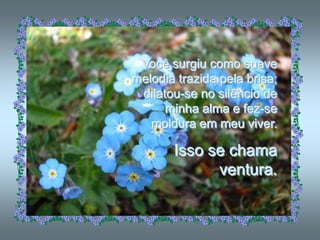 Você surgiu como suave
melodia trazida pela brisa;
 dilatou-se no silêncio de
      minha alma e fez-se
   moldura em meu viver.

       Isso se chama
             ventura.
 