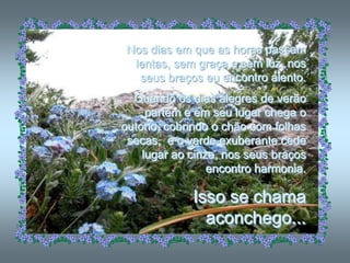 Nos dias em que as horas passam
 lentas, sem graça e sem luz, nos
  seus braços eu encontro alento.
  Quando os dias alegres de verão
     partem e em seu lugar chega o
outono, cobrindo o chão com folhas
 secas, e o verde exuberante cede
    lugar ao cinza, nos seus braços
                 encontro harmonia.

             Isso se chama
               aconchego...
 