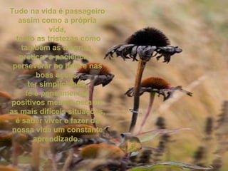 Tudo na vida é passageiro assim como a própria vida, tanto as tristezas como também as alegrias, praticar a paciência e perseverar no bem e nas boas ações, ter simplicidade,  fé e pensamentos positivos mesmo perante as mais difíceis situações, é saber viver e fazer da nossa vida um constante aprendizado.  