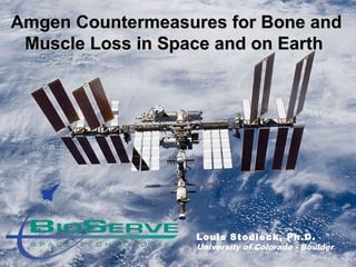 Amgen Countermeasures for Bone andAmgen Countermeasures for Bone and
Muscle Loss in Space and on EarthMuscle Loss in Space and on Earth
Louis Stodieck, Ph.D.
University of Colorado - Boulder
 