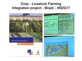 Crop - Livestock Farming
Integration project - Brazil - #SDG17
Photo: Olaf Brugman
Photo: Olaf Brugman
 