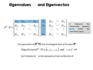 It measures the
relationship between
individuals within the
genotype space
Eigenvalues and Eigenvectors
It measures the
relationship between
observations within the
factors space
⎥
⎥
⎥
⎥
⎦
⎤
⎢
⎢
⎢
⎢
⎣
⎡
⋅
⎥
⎥
⎥
⎥
⎦
⎤
⎢
⎢
⎢
⎢
⎣
⎡
=⋅
nmnn
m
m
nmmm
n
n
T
aaa
aaa
aaa
aaa
aaa
aaa
AA
,,2,1
2,2,22,1
1,1,21,1
,2,1,
,22,21,2
,12,11,1
!
"#""
!
!
!
"#""
!
!The	eigenvectors	of (PT	P)	form	an	orthogonal	basis	of	the	space	Rn
Each	individual	of	P can	be	expressed	as	linear	combination	of		
V={v1,	v2,	…,	vm}
{ } 0and,,,)( 21 =×=⋅ T
jin
T
vvvvvPPrsEigenVecto !
It measures the
relationship between
genes within the
individuals space⎥
⎥
⎥
⎥
⎦
⎤
⎢
⎢
⎢
⎢
⎣
⎡
⋅
⎥
⎥
⎥
⎥
⎦
⎤
⎢
⎢
⎢
⎢
⎣
⎡
=⋅
nmmm
n
n
nmnn
m
m
T
ppp
ppp
ppp
ppp
ppp
ppp
PP
,2,1,
,22,21,2
,12,11,1
,,2,1
2,2,22,1
1,1,21,1
!
"#""
!
!
!
"#""
!
!
 