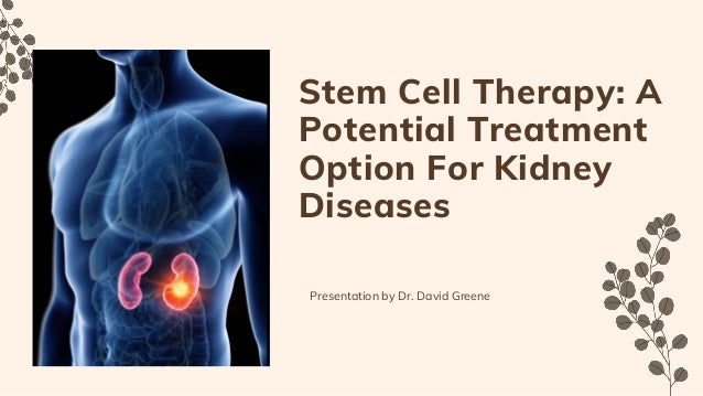 Stem Cell Therapy: A
Potential Treatment
Option For Kidney
Diseases
Presentation by Dr. David Greene
 