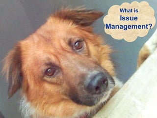 What is Issue Management? 