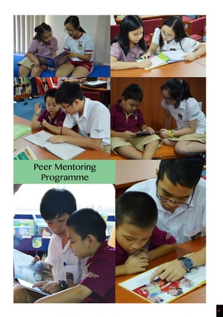 6
Peer Mentoring
Programme
 