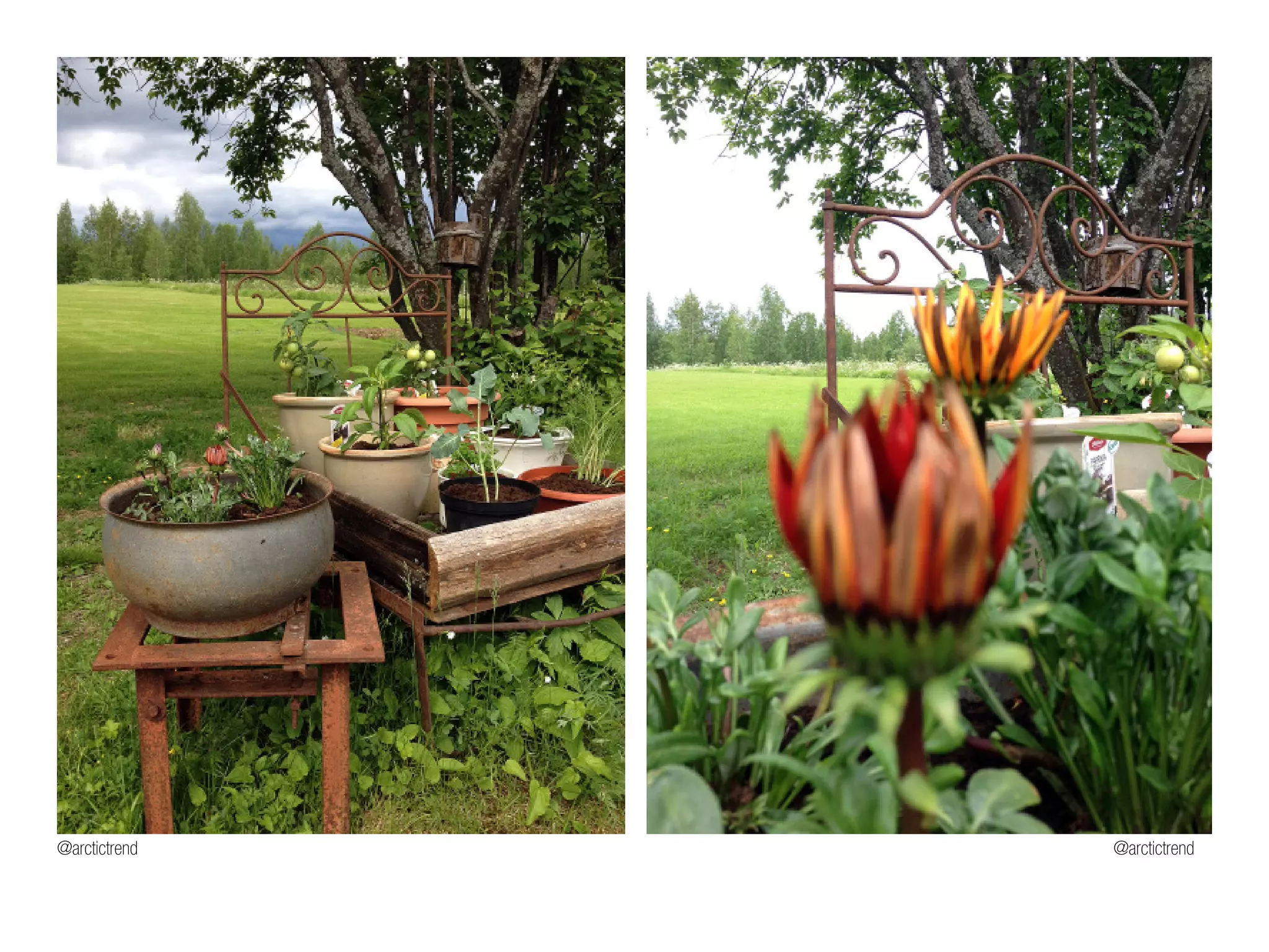 @arctictrend @arctictrend
 