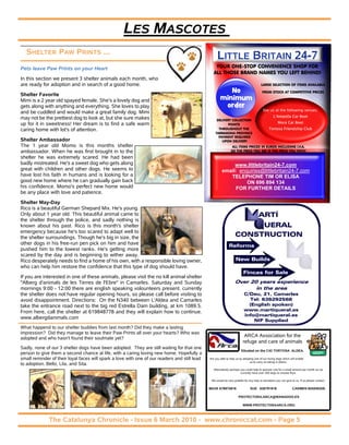 LES MASCOTES
   SHELTER PAW PRINTS ...

Pets leave Paw Prints on your Heart
In this section we present 3 shelter animals each month, who
are ready for adoption and in search of a good home.
Shelter Favorite
                                                                                                          No
Mimi is a 2 year old spayed female. She's a lovely dog and                                             minimum
gets along with anything and everything. She loves to play                                              order
                                                                                                                                          See us at the following venues:
and be cuddled and would make a great family dog. Mimi
may not be the prettiest dog to look at, but she sure makes
up for it in sweetness! Her dream is to find a safe warm
caring home with lot's of attention.
Shelter Ambassador
The 1 year old Momo is this months shelter
ambassador. When he was first brought in to the
shelter he was extremely scared. He had been
badly mistreated. He's a sweet dog who gets along                                                            www.littlebritain24-7.com
great with children and other dogs. He seems to                                                         email: enquiries@littlebritain24-7.com
have lost his faith in humans and is looking for a                                                         TELEPHONE TIM OR ELISA
good new home where he can gradually gain back                                                                    ON 696 894 134
his confidence. Momo's perfect new home would                                                                 FOR FURTHER DETAILS
be any place with love and patience.
Shelter May-Day
Rico is a beautiful German Shepard Mix. He's young.
Only about 1 year old. This beautiful animal came to                                                                                  ARTÍ
the shelter through the police, and sadly nothing is
known about his past. Rico is this month's shelter                                                                      UERAL
emergency because he's too scared to adapt well to
the shelter surroundings. Though he's big in size, the                                                             CONSTRUCTION
other dogs in his free-run pen pick on him and have                                                           Reforms
pushed him to the lowest ranks. He's getting more
scared by the day and is beginning to wither away.
Rico desperately needs to find a home of his own, with a responsible loving owner,                                  New Builds
who can help him restore the confidence that this type of dog should have.
                                                                                                                          Fincas for Sale
If you are interested in one of these animals, please visit the no kill animal shelter
"Alberg d'animals de les Terres de l'Ebre" in Camarles. Saturday and Sunday
mornings 9:00 - 12:00 there are english speaking volounteers present. currently
the shelter does not have regular opening hours, so please call before visiting to                                        C/Deu, 21, Camarles
avoid disappointment. Directions: On the N340 between L'Aldea and Camarles                                                  Tel: 636292568
take the entrance road next to the big red Estrella Dam building, at km 1089.5.                                             (English spoken)
From here, call the shelter at 619848778 and they will explain how to continue.                                           www.martiqueral.es
                                                                                                                          info@martiqueral.es
www.albergdanimals.com
                                                                                                                              NIF Supplied
What happend to our shelter buddies from last month? Did they make a lasting
impression? Did they manage to leave their Paw Prints all over your hearts? Who was
adopted and who hasn't found their soulmate yet?
                                                                                                                          ARCA Association for the
                                                                                                                         refuge and care of animals
Sadly, none of our 3 shelter dogs have been adopted. They are still waiting for that one
                                                                                                                        Situated on the C42 TORTOSA ALDEA.
person to give them a second chance at life, with a caring loving new home. Hopefully a
small reminder of their loyal faces will spark a love with one of our readers and still lead   Are you able to help us by adopting one of our loving dogs which will enable
                                                                                                                               us to carry on taking in others.
to adoption. Bello, Lila, and Sita.
                                                                                                  Alternatively perhaps you could help to sponsor one for a small amount per month as we
                                                                                                                        currently have over 200 dogs to choose from.

                                                                                                We would be very grateful for any help or donations you can give to us. If so please contact:

                                                                                               MAVE 678975816                  SUE 630791918                      CARMEN 655040359.

                                                                                                                      PROTECTORA.ARCA@WANADOO.ES

                                                                                                                         WWW.PROTECTORAARCA.ORG



              The Catalunya Chronicle - Issue 6 March 2010 - www.chroniccat.com - Page 5
 