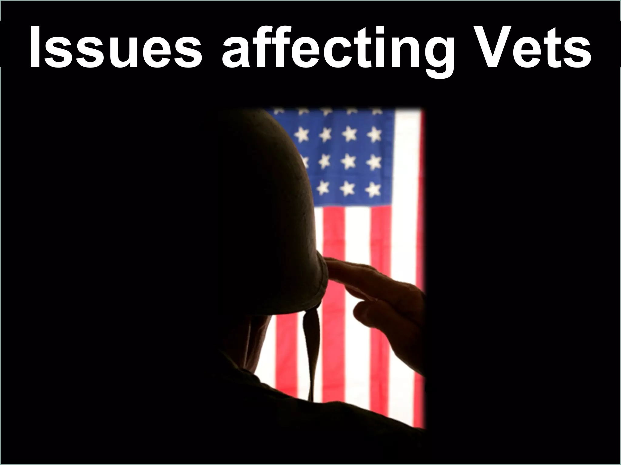 issues-affecting-vets-ppt