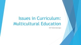 Issues in Curriculum:
Multicultural Education
Elif Kalemdaroglu
 
