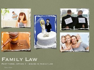 Family Law
Part three, option 1 - issues in family law
Term 1 2016
 