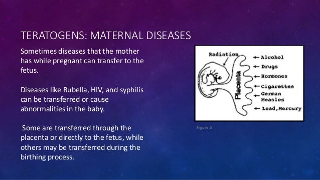 teratogens and prevention during pregnancy essay Teratogens and their effects on pregnancy about 4-5% of birth defects are caused by exposure to a teratogen during pregnancy teratogens can impact a baby’s. teratogens and prevention during pregnancy essay Teratogens and their effects on pregnancy about 4-5% of birth defects are caused by exposure to a teratogen during pregnancy teratogens can impact a baby’s.