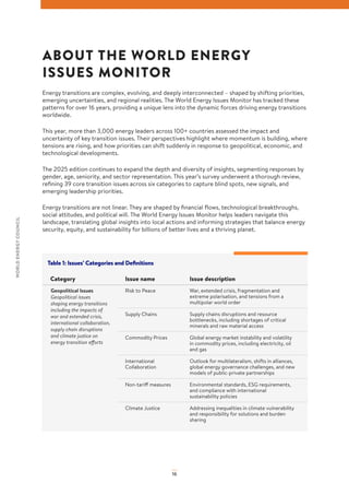 WEC World Energy Issues Monitor 2025 Full Report | PDF