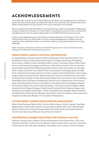 WEC World Energy Issues Monitor 2025 Full Report | PDF