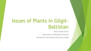 Issues of Plants in Gilgit-
Baltistan
Munira Khan( BS-V)
Department of Biological Sciences
Karakoram International University, Gilgit
 