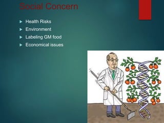Social Concern
 Health Risks
 Environment
 Labeling GM food
 Economical issues
 