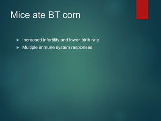 Mice ate BT corn
 Increased infertility and lower birth rate
 Multiple immune system responses
 