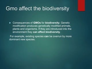 Gmo affect the biodiversity
 Consequences of GMOs for biodiversity. Genetic
modification produces genetically modified animals,
plants and organisms. If they are introduced into the
environment they can affect biodiversity.
For example, existing species can be overrun by more
dominant new species.
 