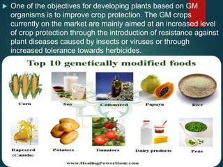 One of the objectives for developing plants based on GM
organisms is to improve crop protection. The GM crops
currently on the market are mainly aimed at an increased level
of crop protection through the introduction of resistance against
plant diseases caused by insects or viruses or through
increased tolerance towards herbicides.
 