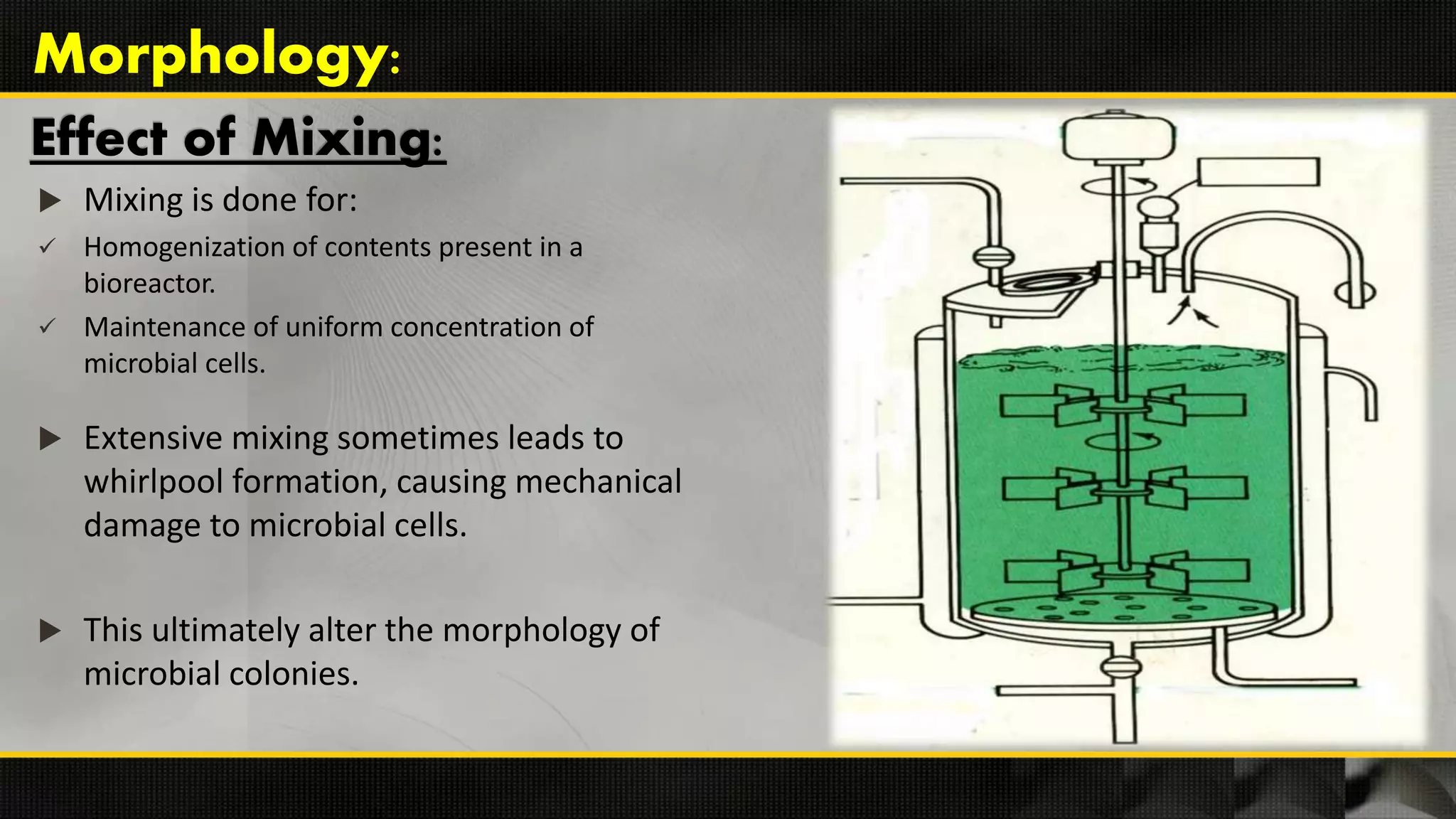 Effect of Mixing:
 Mixing is done for:
 Homogenization of contents present in a
bioreactor.
 Maintenance of uniform concentration of
microbial cells.
 Extensive mixing sometimes leads to
whirlpool formation, causing mechanical
damage to microbial cells.
 This ultimately alter the morphology of
microbial colonies.
Morphology:
 