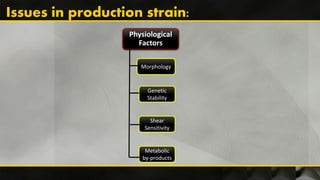 Physiological
Factors
Morphology
Metabolic
by-products
Shear
Sensitivity
Genetic
Stability
Issues in production strain:
 