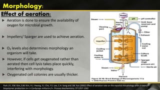 Effect of aeration:
 Aeration is done to ensure the availability of
oxygen for microbial growth.
 Impellers/ Sparger are used to achieve aeration.
 O₂ levels also determines morphology an
organism will take.
Park J.P., Y.M. Kim, S.W. Kim, H.J. Hwang, Y.J. Cho, Y.S. Lee, C.H. Song and J.W. Yun (2002) Effect of aeration rate on the mycelial morphology and< i> exo</i>-
biopolymer production in< i> Cordyceps militaris</i>. Process biochemistry. 37:1257-1262
Morphology:
 However, if cells get oxygenated rather than
aerated then cell lysis takes place quickly,
interfering with morphology.
 Oxygenated cell colonies are usually thicker.
 