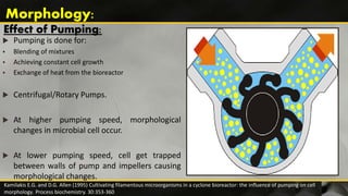 Effect of Pumping:
 Pumping is done for:
 Blending of mixtures
 Achieving constant cell growth
 Exchange of heat from the bioreactor
 Centrifugal/Rotary Pumps.
 At higher pumping speed, morphological
changes in microbial cell occur.
 At lower pumping speed, cell get trapped
between walls of pump and impellers causing
morphological changes.
Kamilakis E.G. and D.G. Allen (1995) Cultivating filamentous microorganisms in a cyclone bioreactor: the influence of pumping on cell
morphology. Process biochemistry. 30:353-360
Morphology:
 