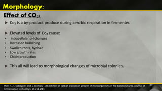 Effect of CO₂:
 Co₂ is a by-product produce during aerobic respiration in fermenter.
 Elevated levels of Co₂ cause:
 intracellular pH changes
 Increased branching
 Swollen roots, hyphae
 Low growth rates
 Chitin production
 This all will lead to morphological changes of microbial colonies.
Mori H., T. Kobayashi and S. Shimizu (1983) Effect of carbon dioxide on growth of microorganisms in fed-batch cultures. Journal of
fermentation technology. 61:211-213
Morphology:
 