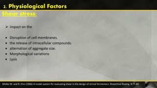  impact on the
 Disruption of cell membranes.
 the release of intracellular compounds.
 alternation of aggregate size.
 Morphological variations
 Lysis
Midler M. and R. Finn (1966) A model system for evaluating shear in the design of stirred fermentors. Biotechnol Bioeng. 8:71-84
Shear stress:
2. Physiological Factors
 