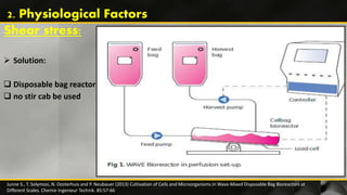  Solution:
 Disposable bag reactors
 no stir cab be used
Junne S., T. Solymosi, N. Oosterhuis and P. Neubauer (2013) Cultivation of Cells and Microorganisms in Wave‐Mixed Disposable Bag Bioreactors at
Different Scales. Chemie Ingenieur Technik. 85:57-66
Shear stress:
2. Physiological Factors
 