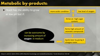  Yeast has the ability to grow
at low pH but if:
thrive on high sugar
content
forms high amount of
aromatic compounds
Spoils beer by giving it
vinegary taste.
more acidic condition low level of oxygen
can be overcome by
increasing amount of
oxygen in medium
Braun S. and S.E. Vecht-Lifshitz (1991) Mycelial morphology and metabolite production. Trends Biotechnol. 9:63-68
 
