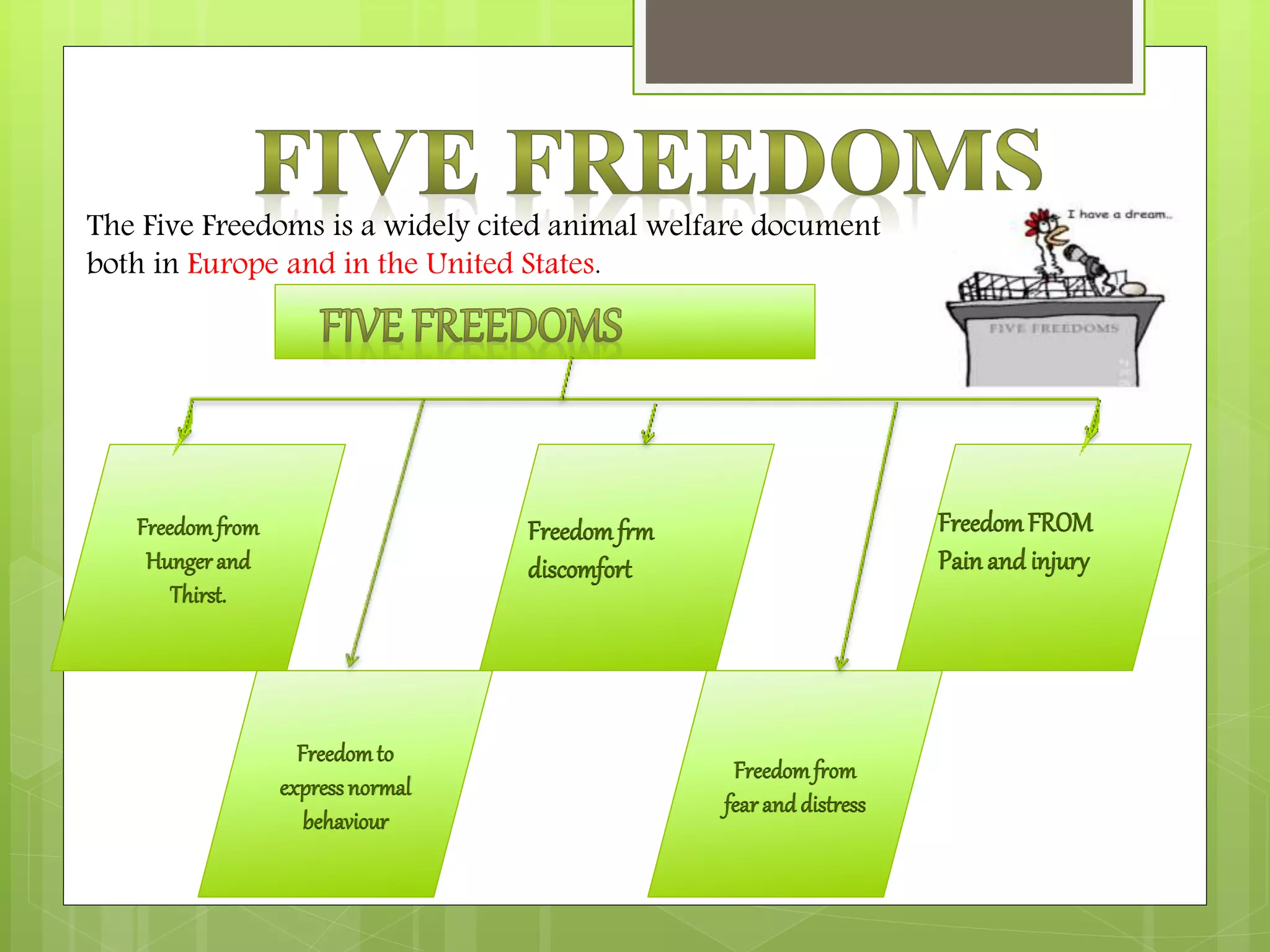 The Five Freedoms is a widely cited animal welfare document
both in Europe and in the United States.
Freedomfrom
Hungerand
Thirst.
Freedomto
expressnormal
behaviour
Freedomfrom
fearand distress
Freedomfrm
discomfort
FreedomFROM
Pain and injury
 