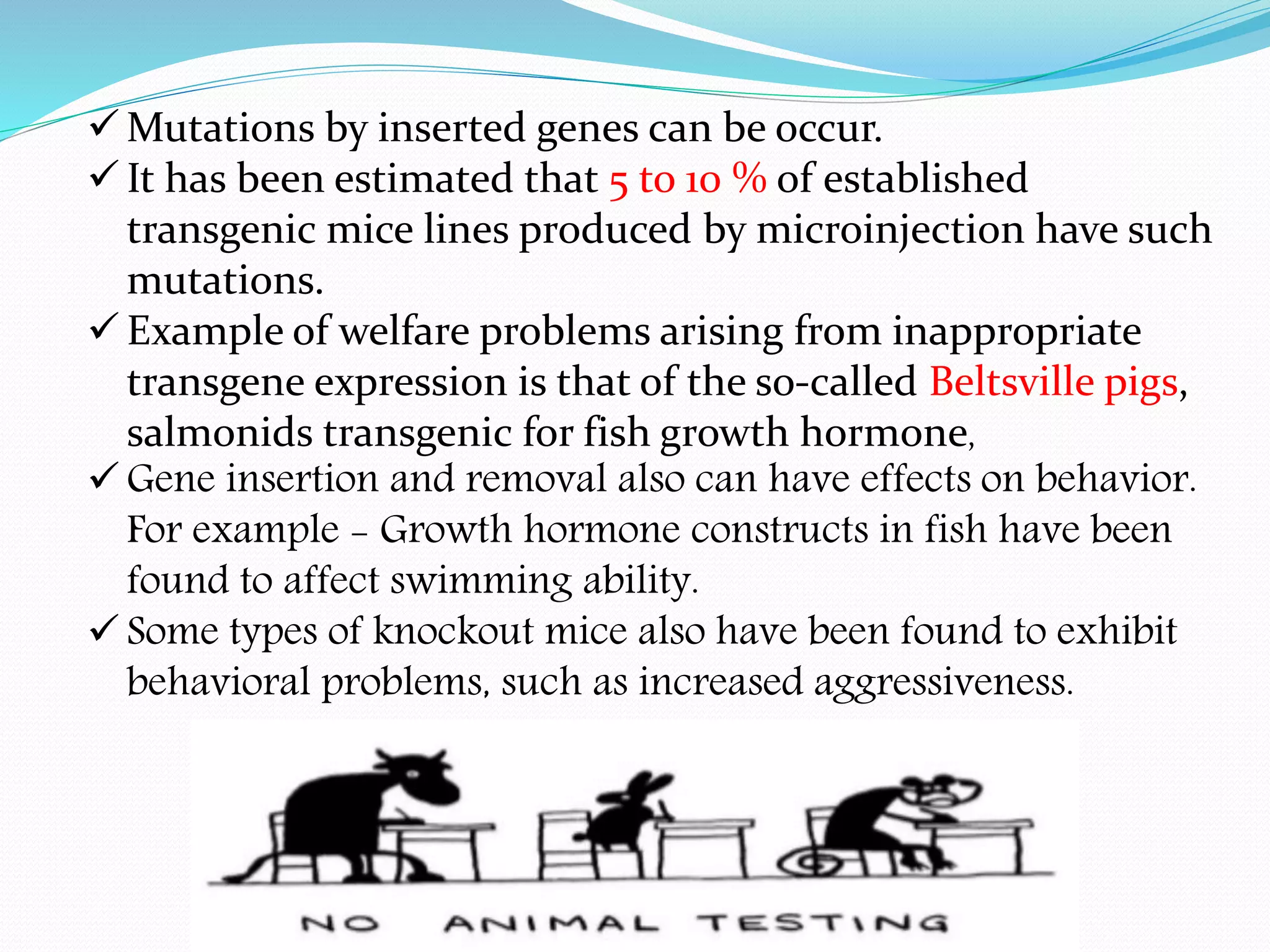  Mutations by inserted genes can be occur.
 It has been estimated that 5 to 10 % of established
transgenic mice lines produced by microinjection have such
mutations.
 Example of welfare problems arising from inappropriate
transgene expression is that of the so-called Beltsville pigs,
salmonids transgenic for fish growth hormone,
 Gene insertion and removal also can have effects on behavior.
For example - Growth hormone constructs in fish have been
found to affect swimming ability.
 Some types of knockout mice also have been found to exhibit
behavioral problems, such as increased aggressiveness.
 