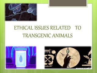 ETHICAL ISSUES RELATED TO
TRANSGENIC ANIMALS
 