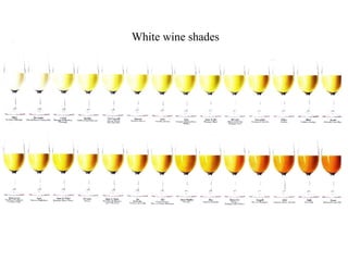 White wine shades




                    HC /12.07
 
