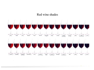 Red wine shades




                  HC /12.07
 