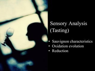 Sensory Analysis
(Tasting)

• Sauvignon characteristics
• Oxidation evolution
• Reduction



                        HC /12.07
 