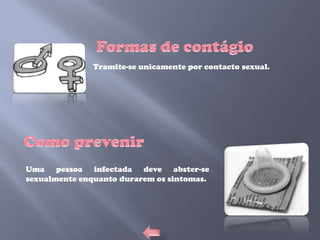 Tramite-se unicamente por contacto sexual.




Uma pessoa infectada deve abster-se
sexualmente enquanto durarem os sintomas.
 