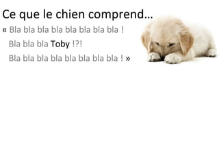 Ce que le chien comprend… «  Bla bla bla bla bla bla bla bla !  Bla bla bla  Toby  !?!   Bla bla bla bla bla bla bla bla !  »  