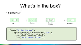 What's in the box?
●
Splitter EIP
 