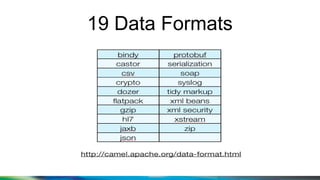 19 Data Formats
 