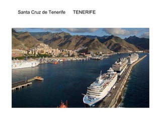Santa Cruz de Tenerife TENERIFE 
 