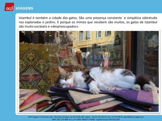 Istambul é também a cidade dos gatos. São uma presença constante e simpática sobretudo
nas esplanadas e jardins. E porque os mimos que recebem são muitos, os gatos de Istambul
são muito sociáveis e «despreocupados».
 