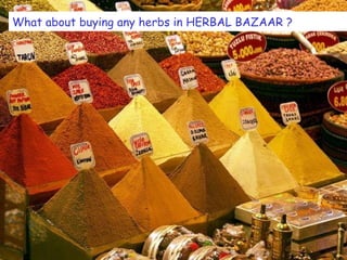 What about buying any herbs in HERBAL BAZAAR ? 