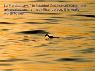 And have you been in a boat, eaten “simit”, drunk tea and watch the seabirds or dolphins ? La Martine says  “  in Istanbul God,human,nature and art created such a maginificent place, it is really worth to see. 