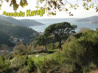 Anadolu Kavağı 