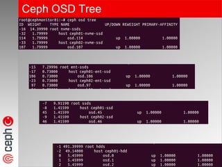 Ceph OSD Tree
 