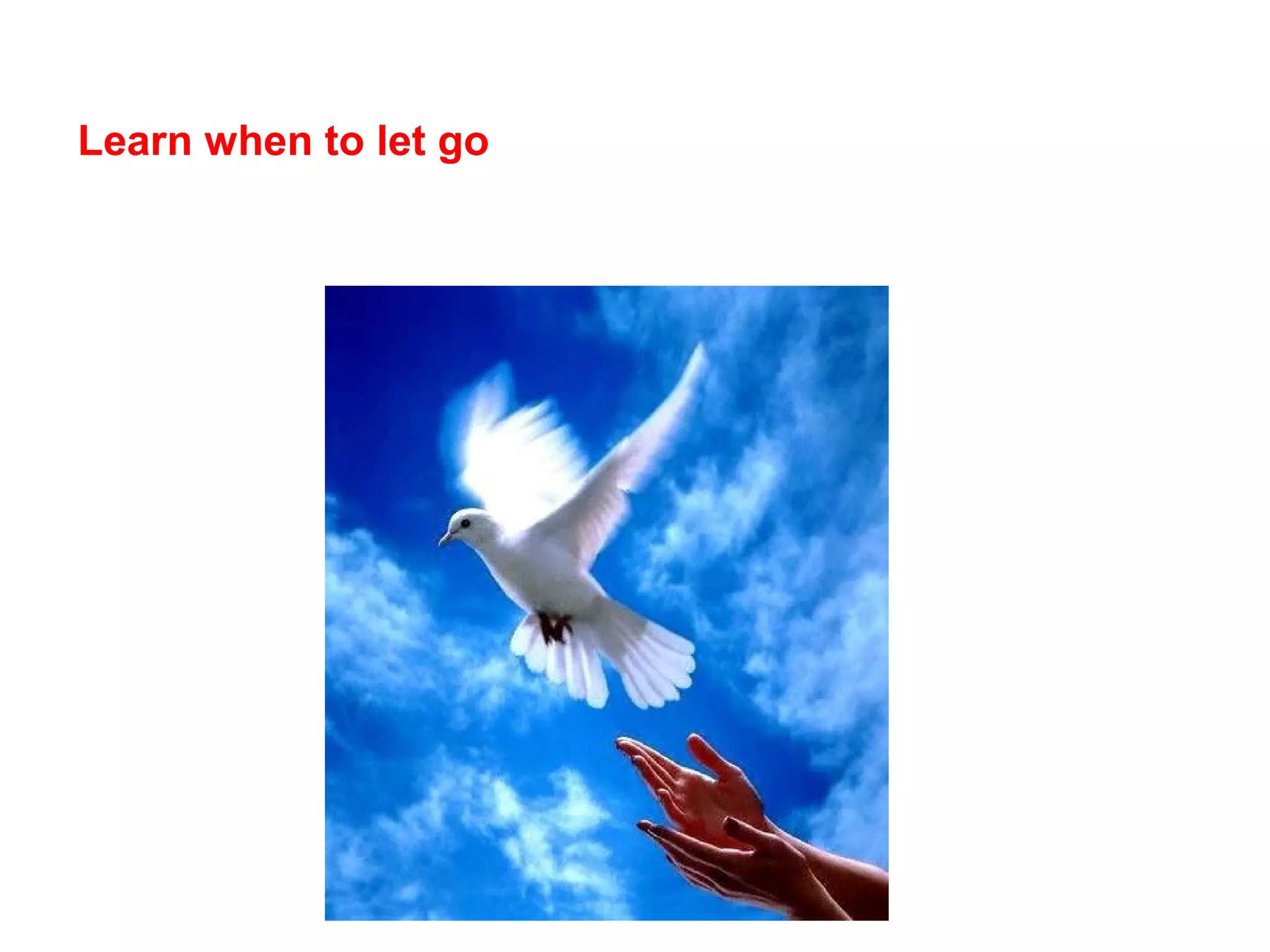 Learn when to let go
 